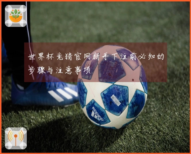 世界杯竞猜官网新手下注前必知的步骤与注意事项