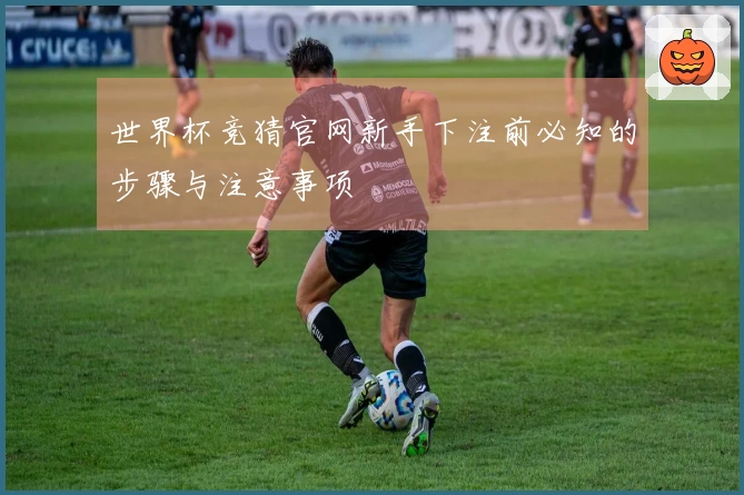 世界杯竞猜官网新手下注前必知的步骤与注意事项