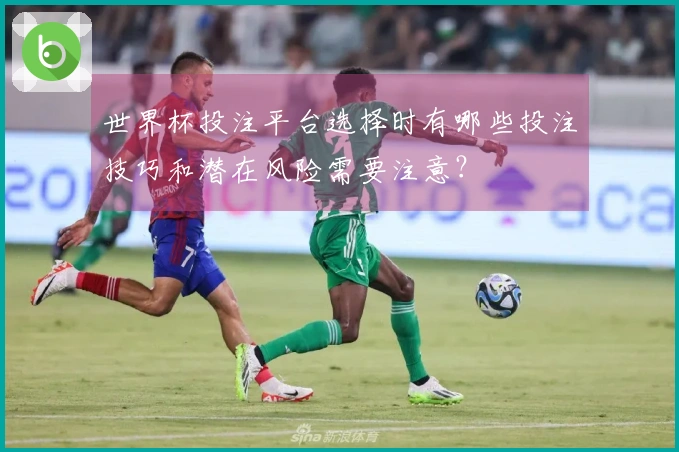 世界杯投注平台选择时有哪些投注技巧和潜在风险需要注意？