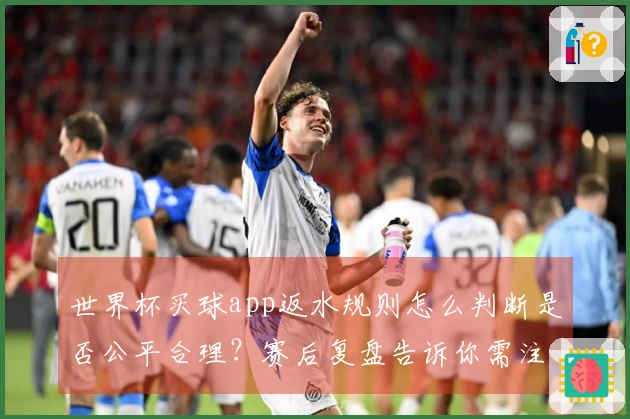 世界杯买球app返水规则怎么判断是否公平合理？赛后复盘告诉你需注意的关键点