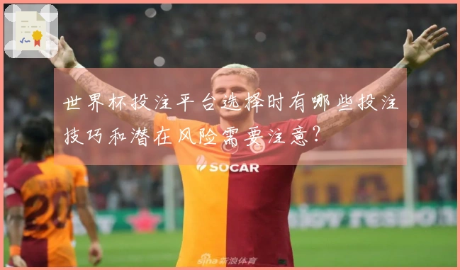 世界杯投注平台选择时有哪些投注技巧和潜在风险需要注意？