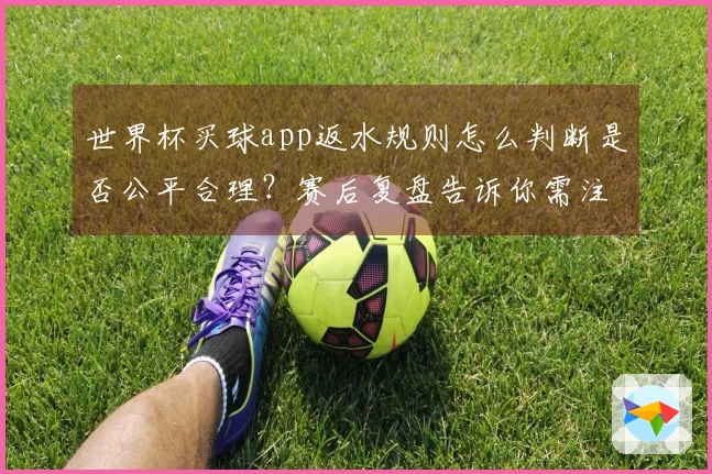 世界杯买球app返水规则怎么判断是否公平合理？赛后复盘告诉你需注意的关键点